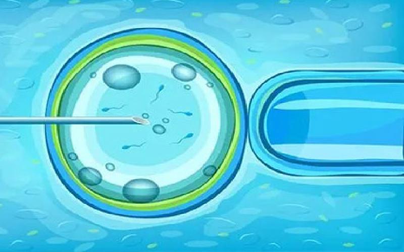 杭州邵逸夫试管群聊代生